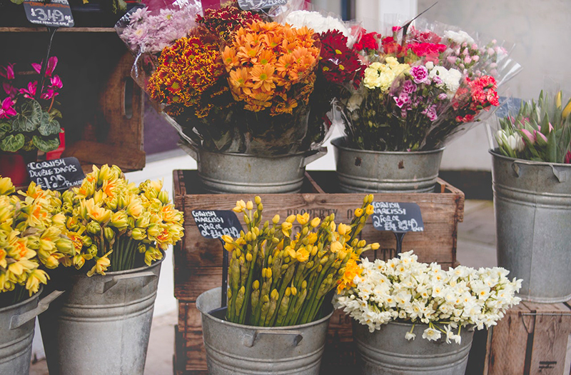 VenditaDirettaFiori Fiori